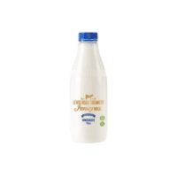 Lewis Road Creamery Jersey Milk Homogenised